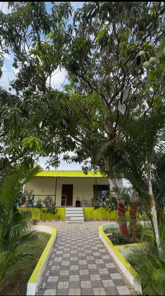 Path framed by mango trees leading to PN Nature's Paradise Villa, Igatpuri